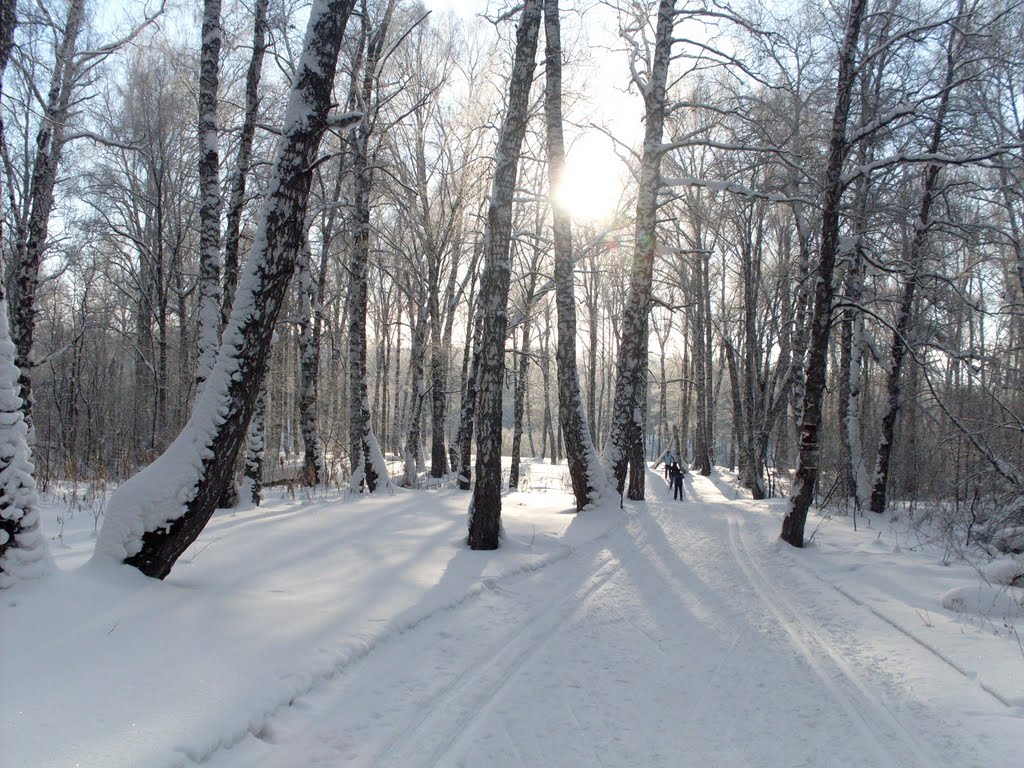 Зимнее солнце