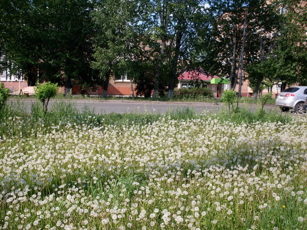 ул. Арбузова