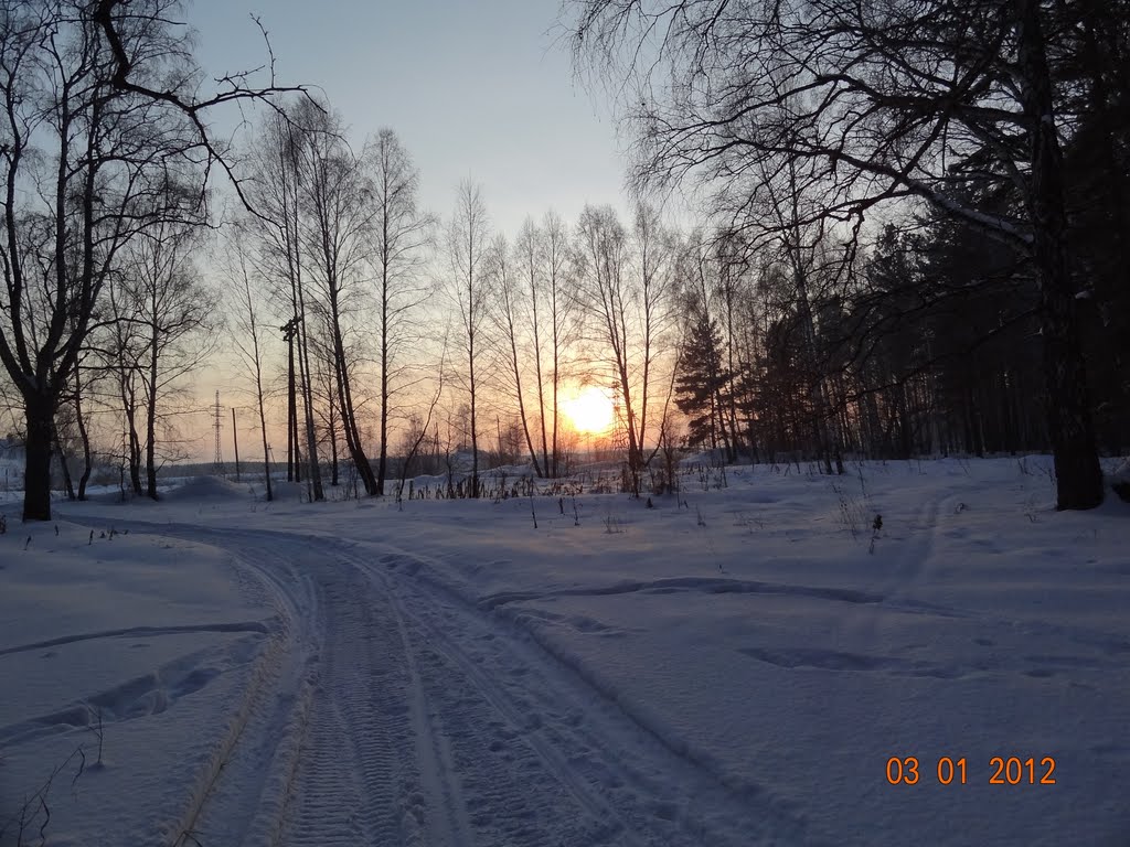 В роще _2012/01/03_