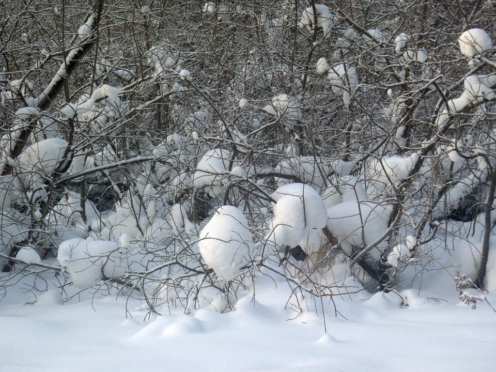 Зимняя сказка