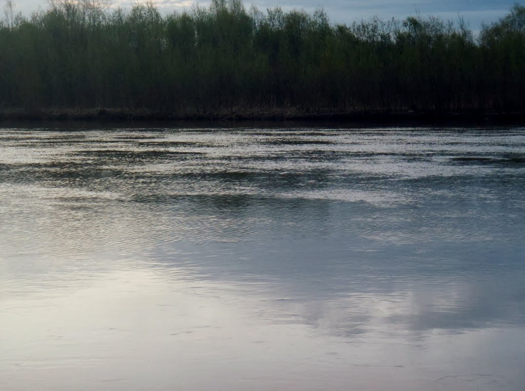 Весенние воды