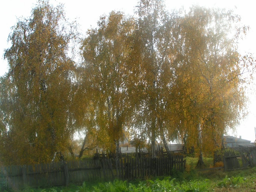 Вид с огорода у тетушки.