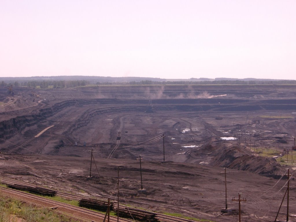 Borodino coal cut.
