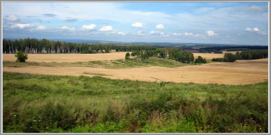 The endless Siberian distance...  Бескрайние сибирские дали...