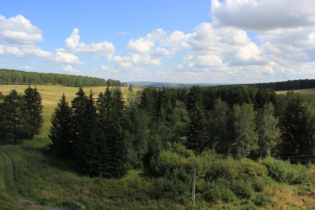 4178-й км Транссиба. Западнее Камарчаги