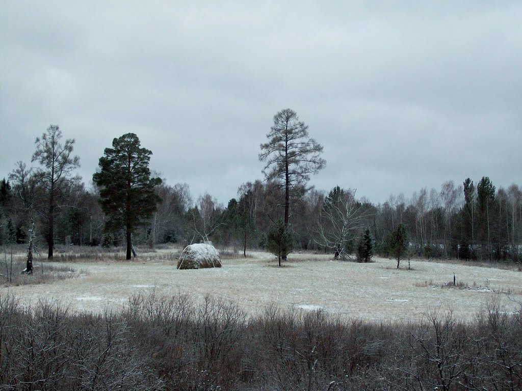 First snow
