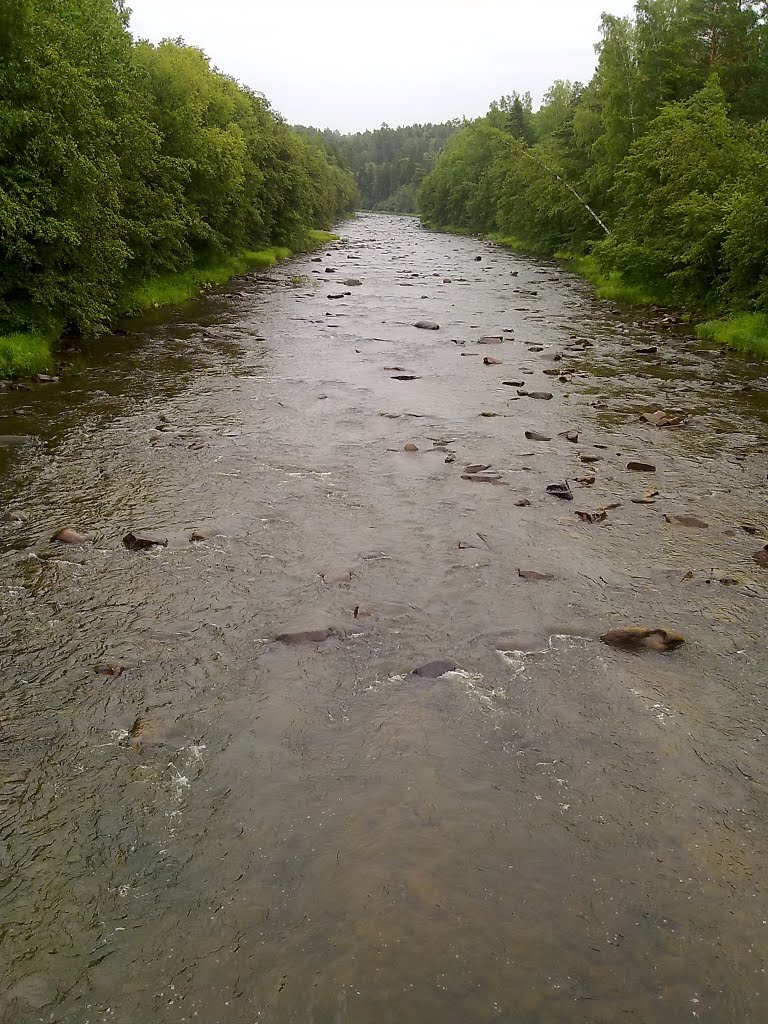 Рудиковка