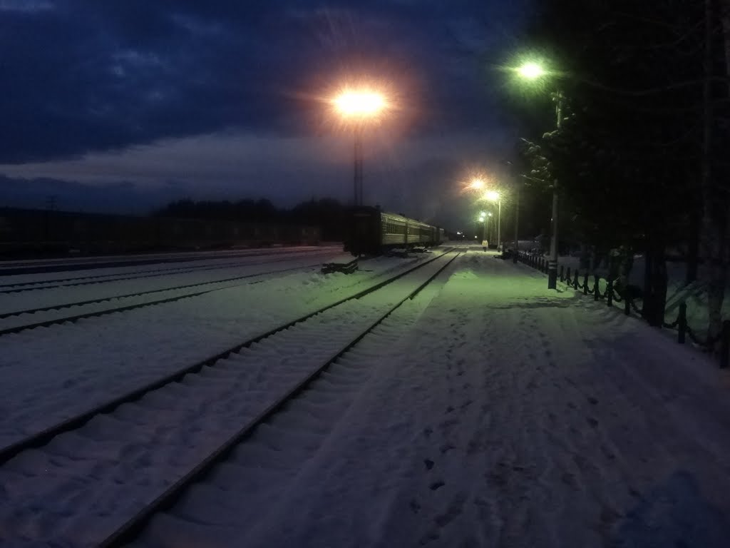 Станция Лесосибирск