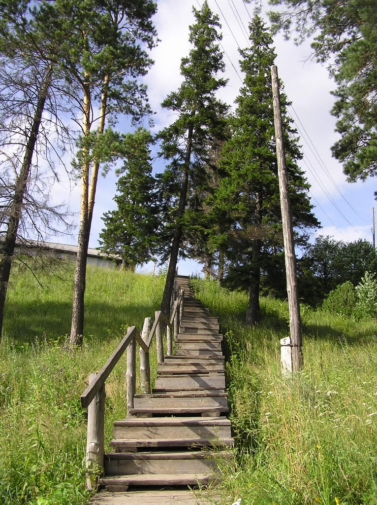 Лестница в Сосновом бору