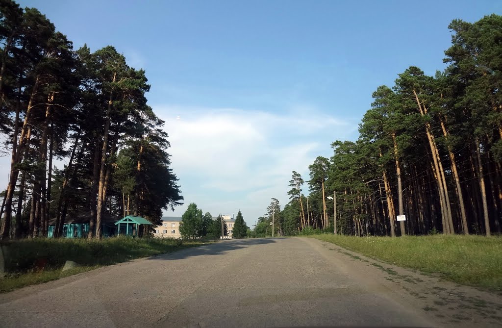 Сосновый бор - памятник природы