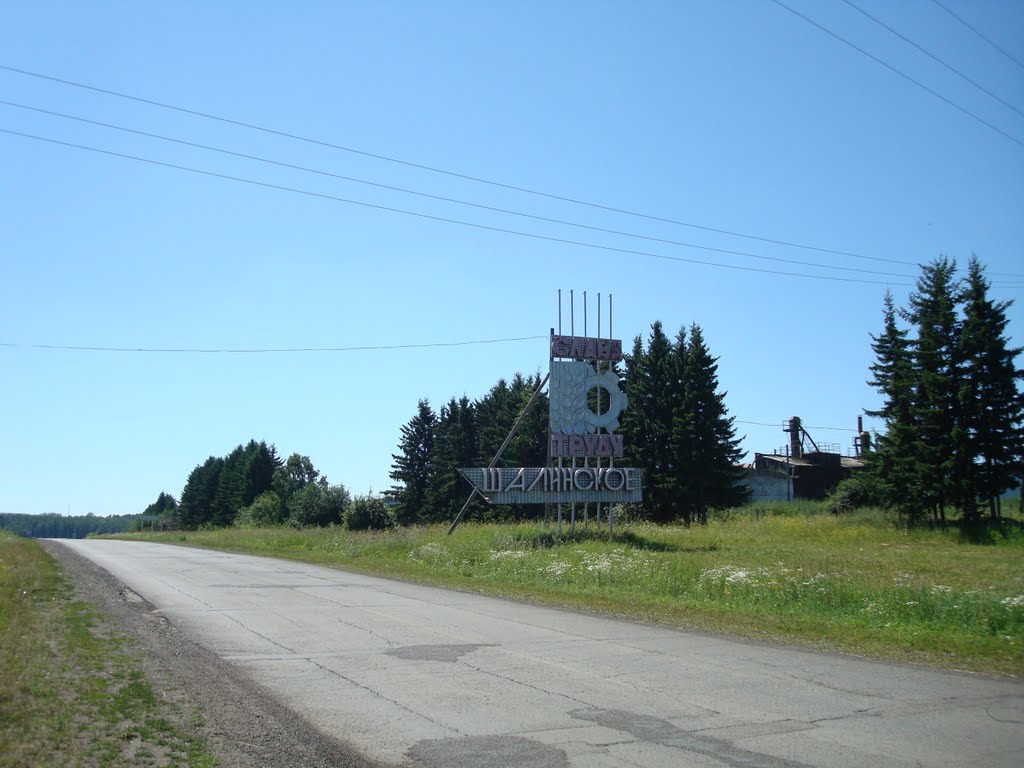 Шалинское