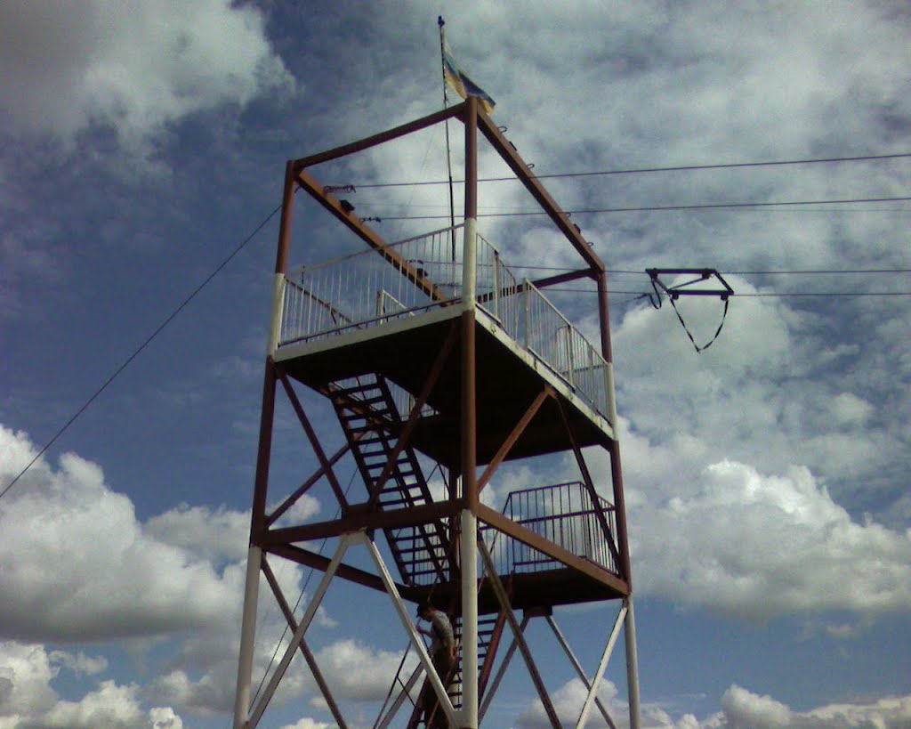 манский 2007