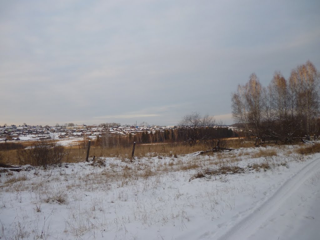 Окраины Шалинского.