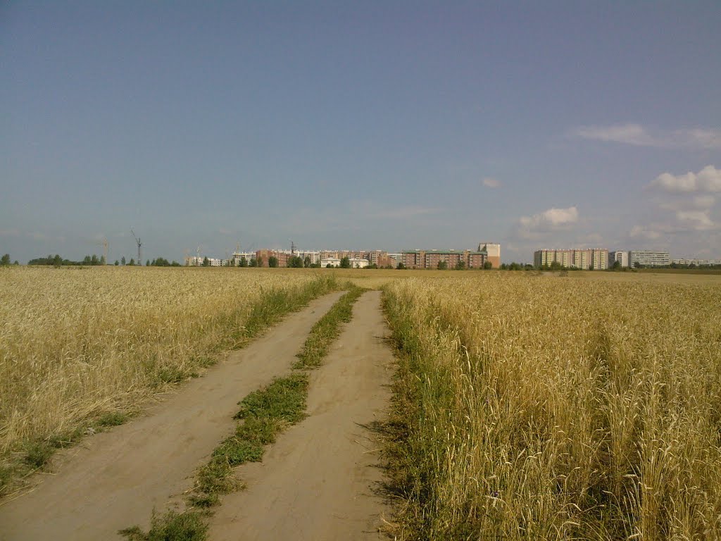 Дорога с Есауловки
