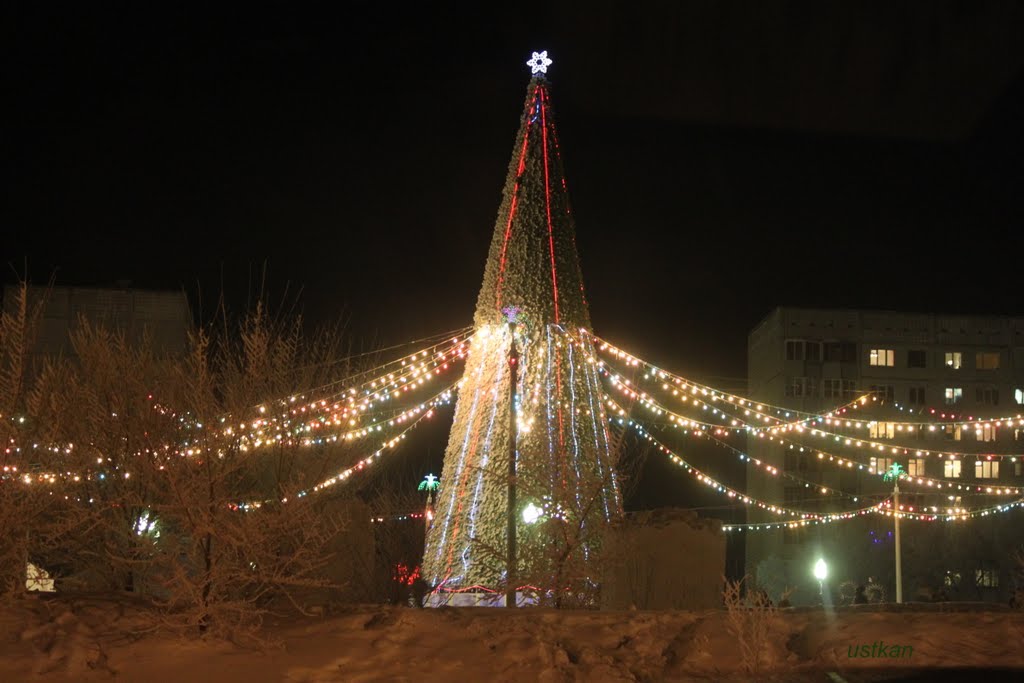 2011 сосновоборск