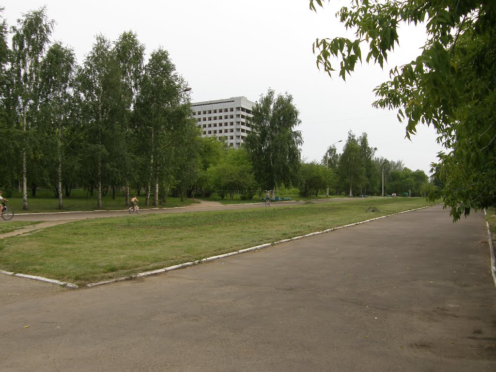 Аллея ветеранов