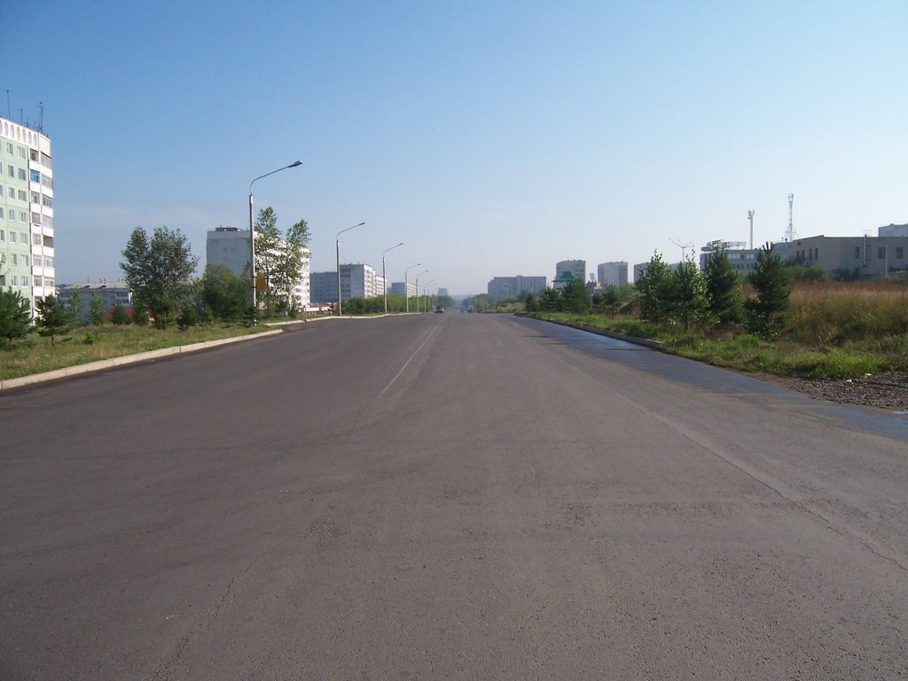 улица Ленинского Комсомола