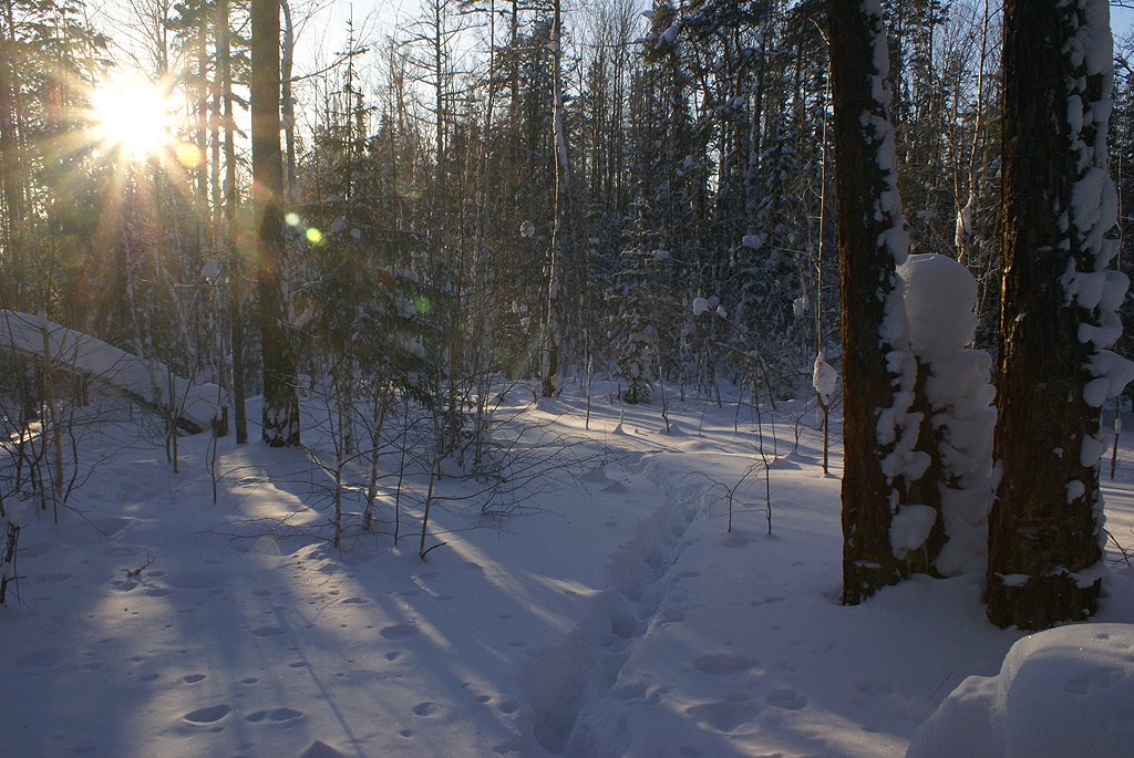 Кодинск