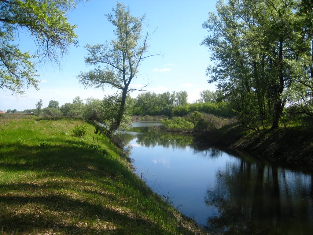Belozerskoye