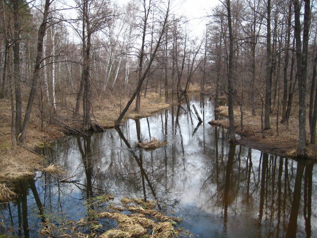 Река Ик в апреле