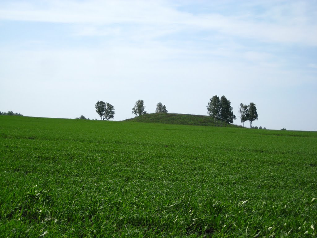 Древний курган (Old barrow)