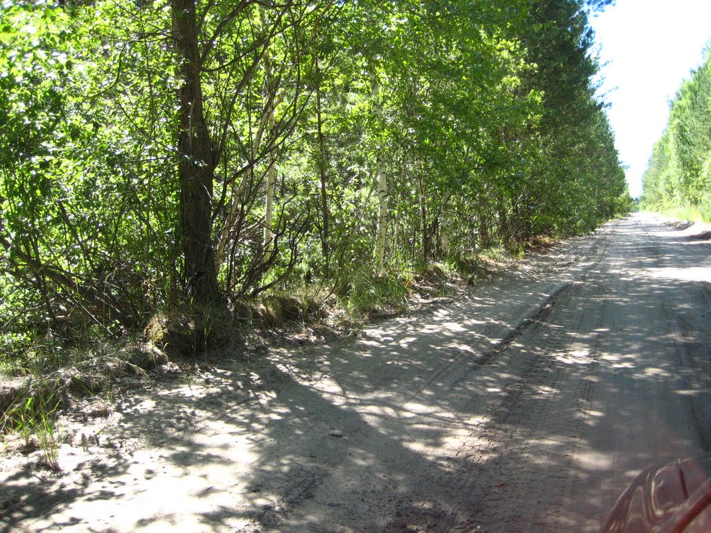 Дорога Кособродск-Вохменка
