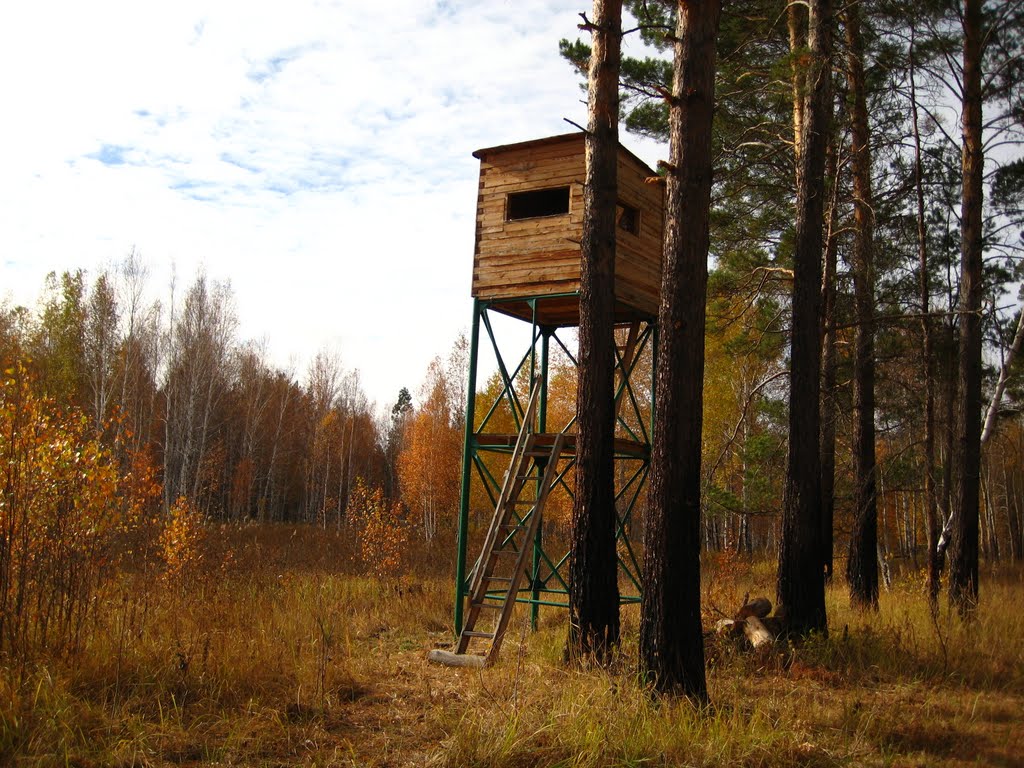 Вышка охотников (hunter`s tower)