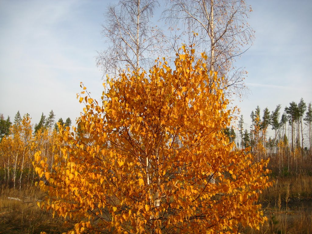 Осень