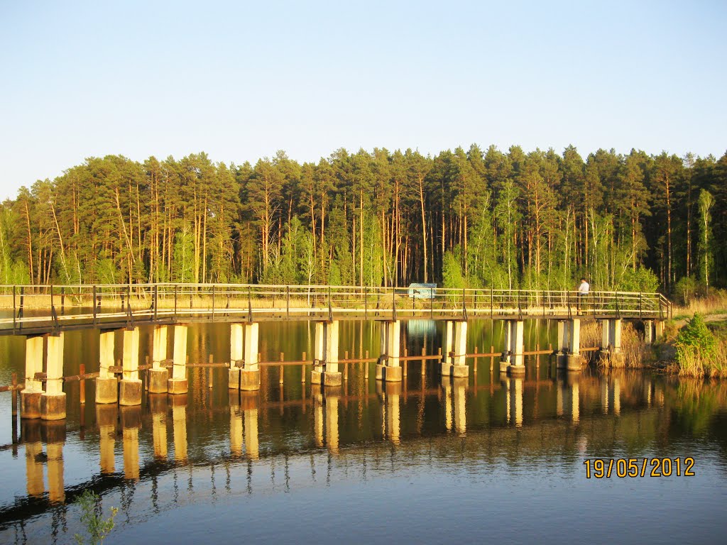 Мост на дамбе
