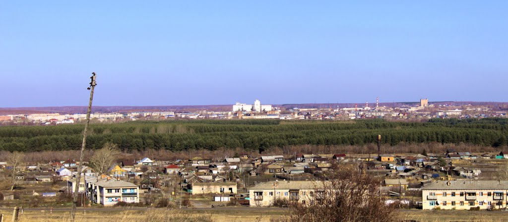 В центре перед  элеватором Далматовский монастырь!!!