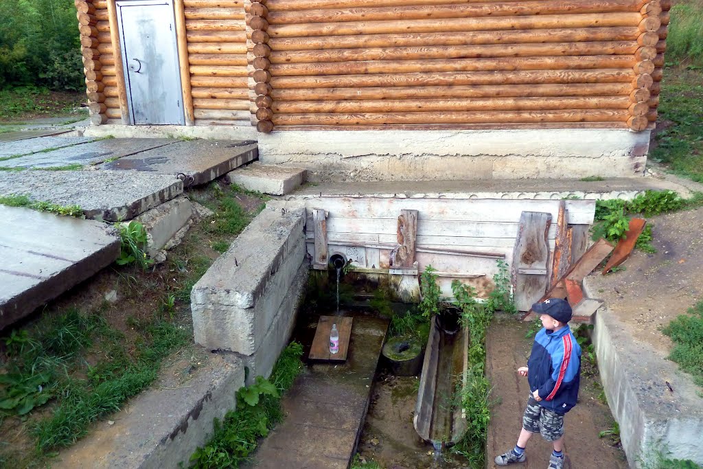Далматово. Святой источник.