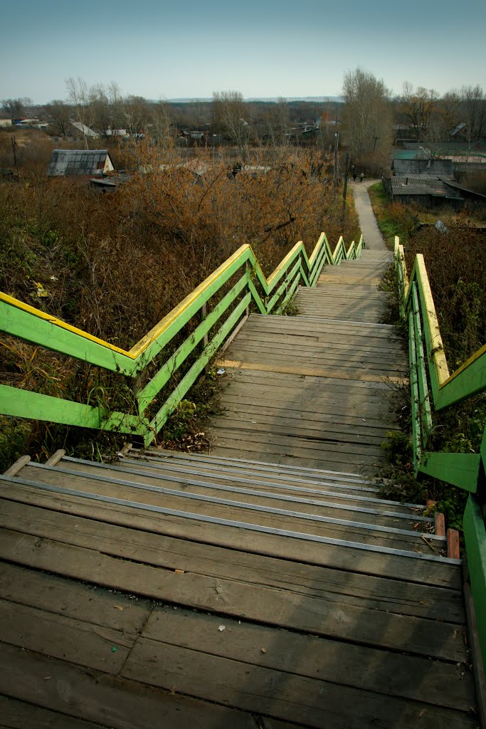 ladder