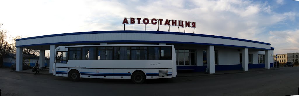 Каргаполье