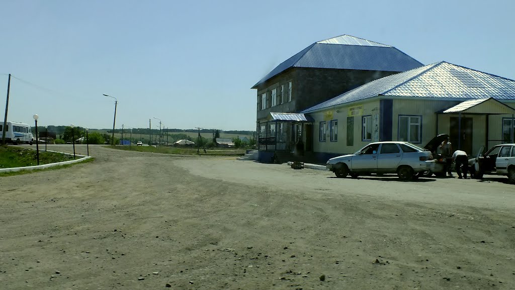 Перед выездом из Каргаполья