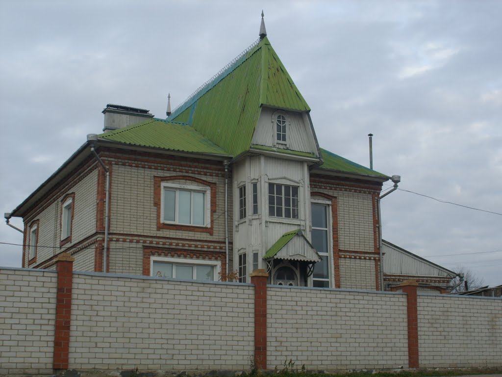 Дом в Катайске.