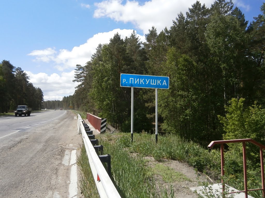 Мост через Пикушку