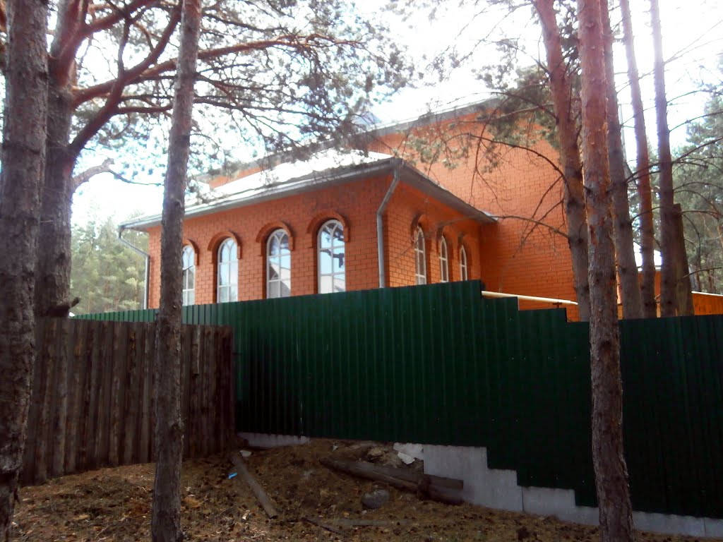 Особняк в лесу(вид сзади)