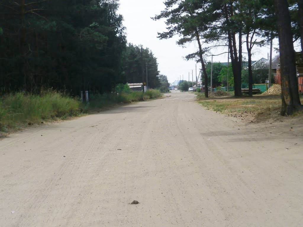 ул. Боровая