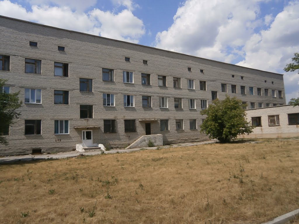 Поликлиника села Кетово(вид сзади)