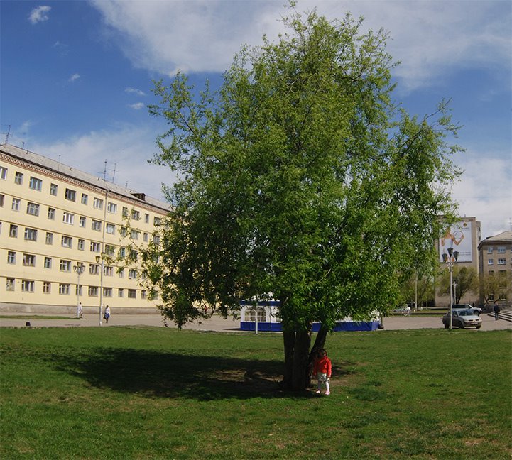 K.Marks Street Улица Карла Маркса