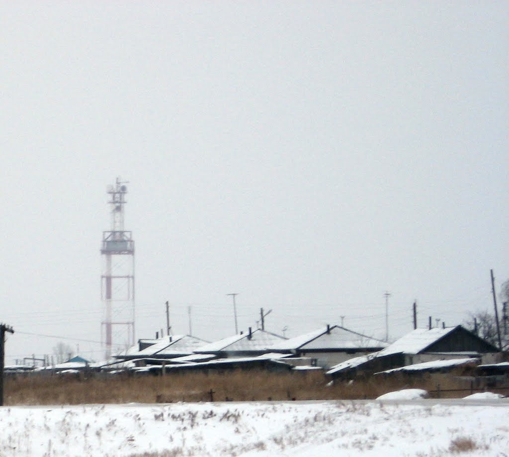 Башня в п. Лебяжье