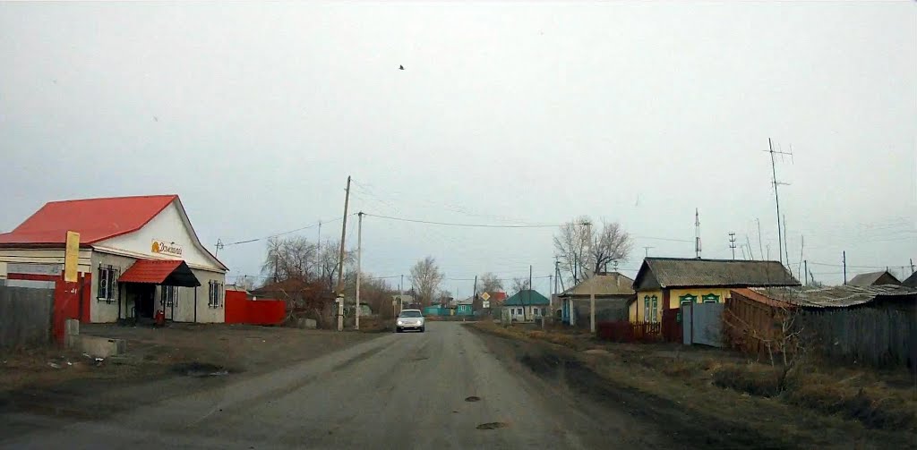с Пушкина на Кирова