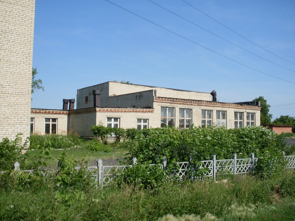 Школьная столовая (School dining room)