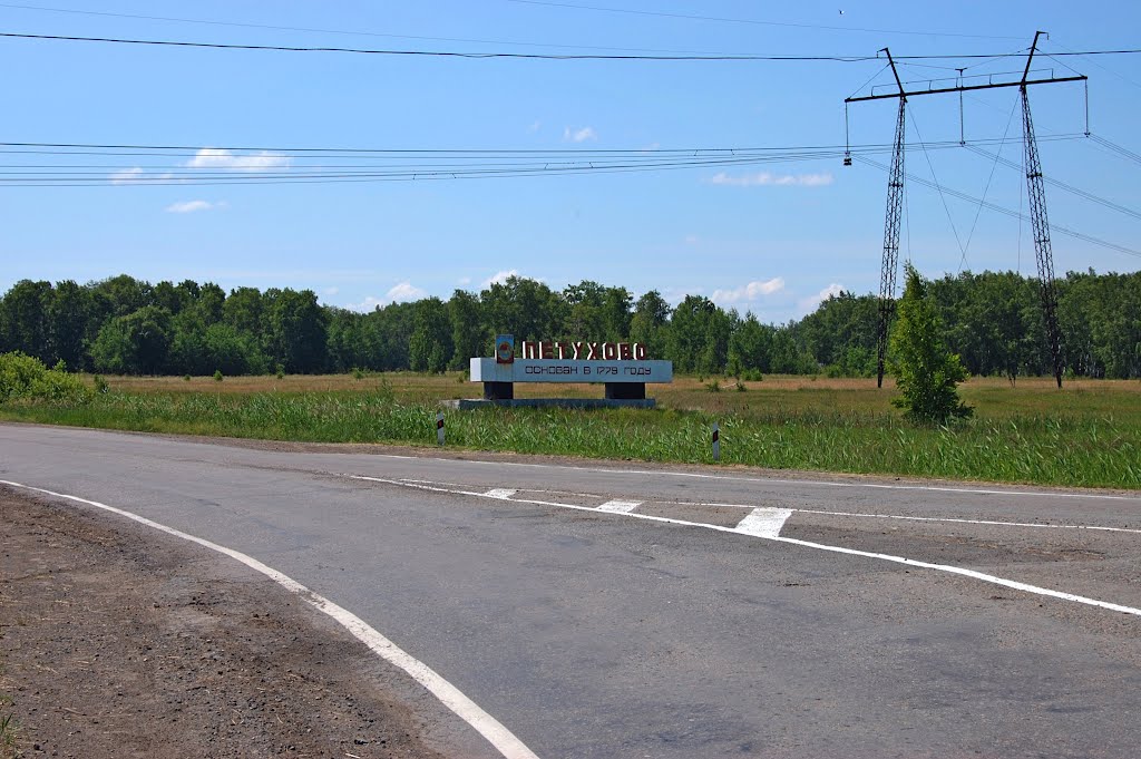 Петухово (стела)