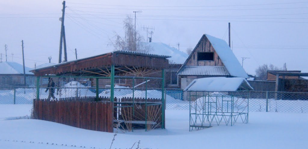 Половинская средняя школа