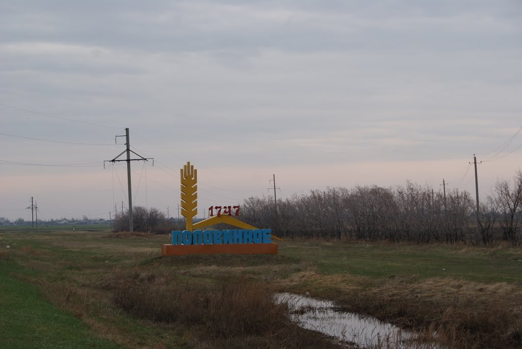 На въезде в Половинное