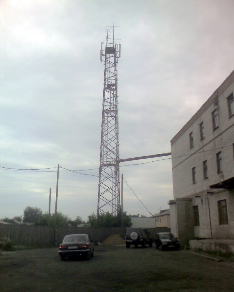 Tselinnoye