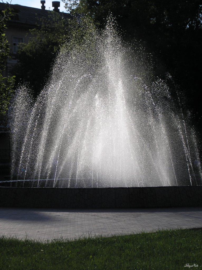 Фонтан на центральной площади (04.07.2007)