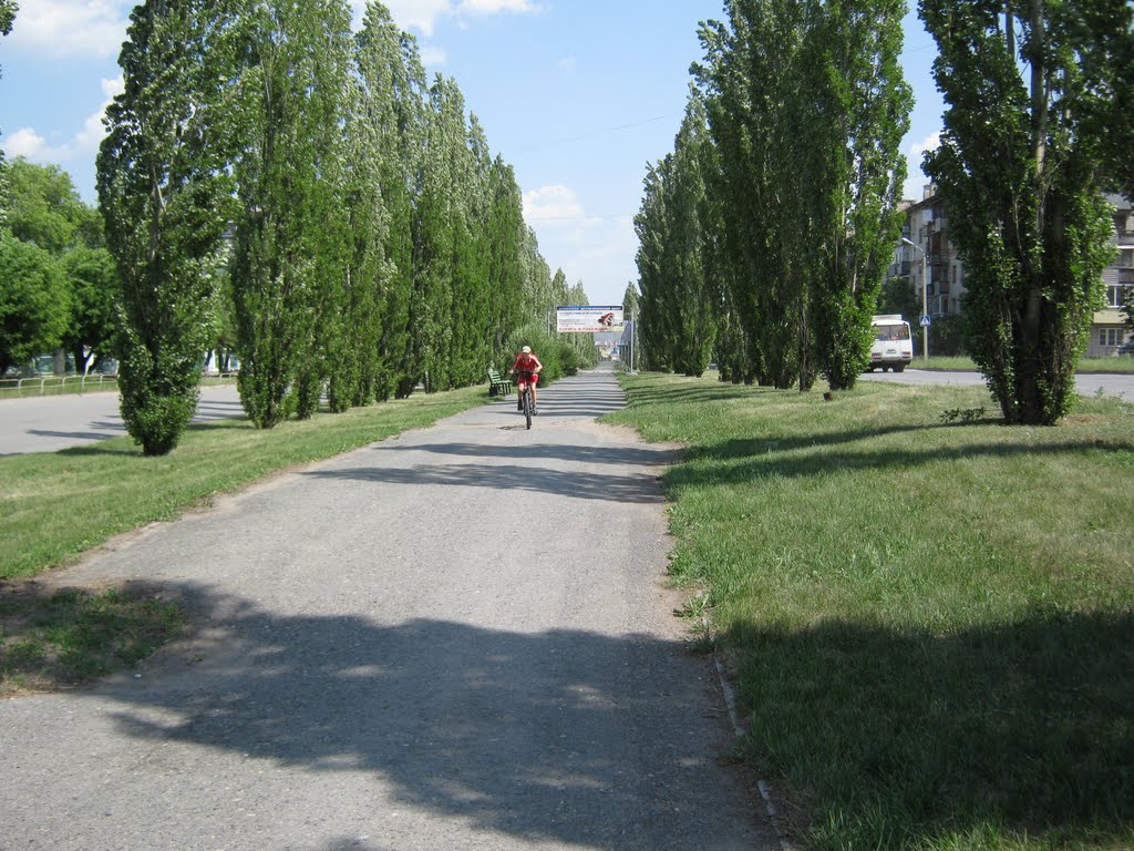 Свердлова 100