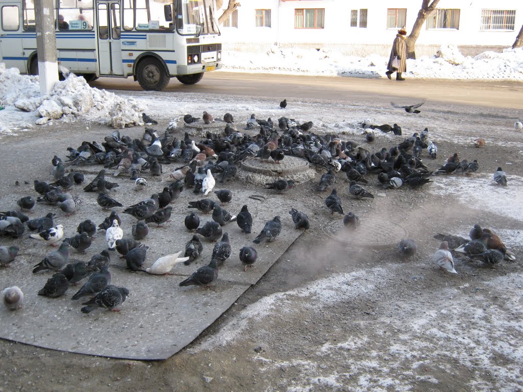 Теплая квартира